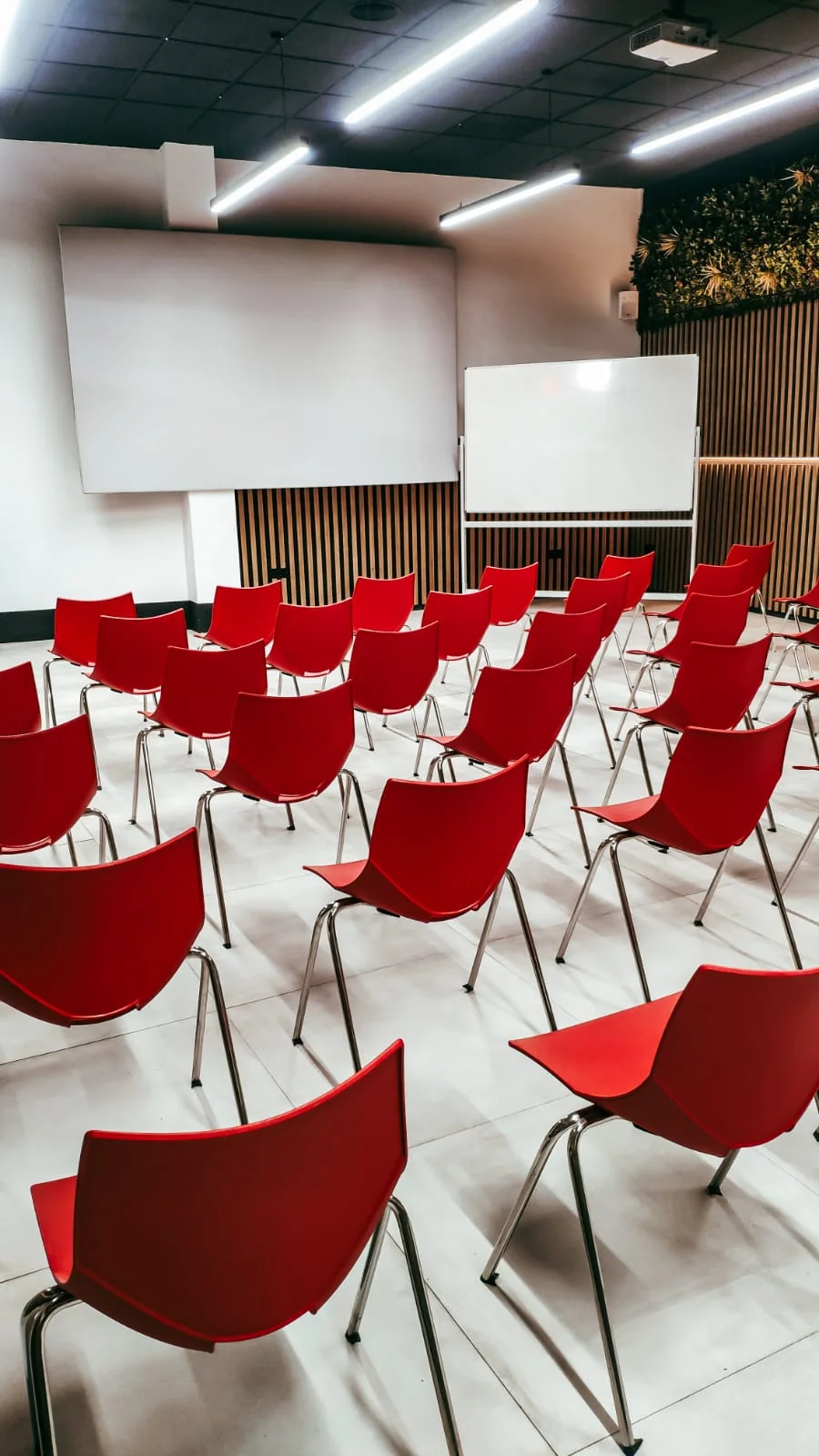 Projector and interactive presentation area
